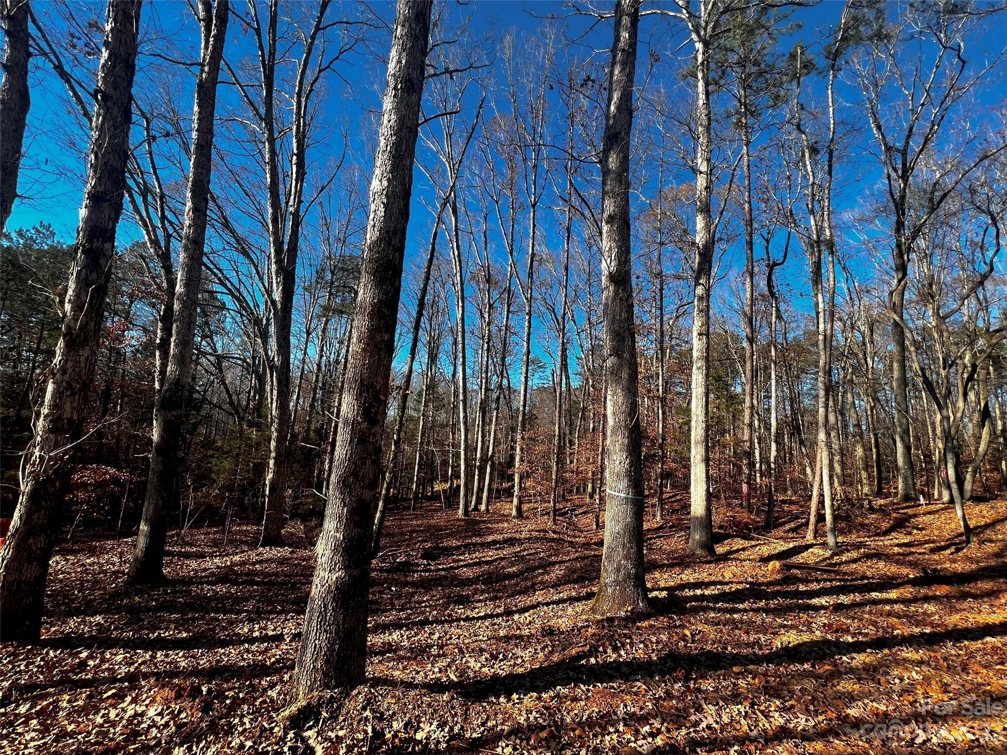 a view of a back yard of the house