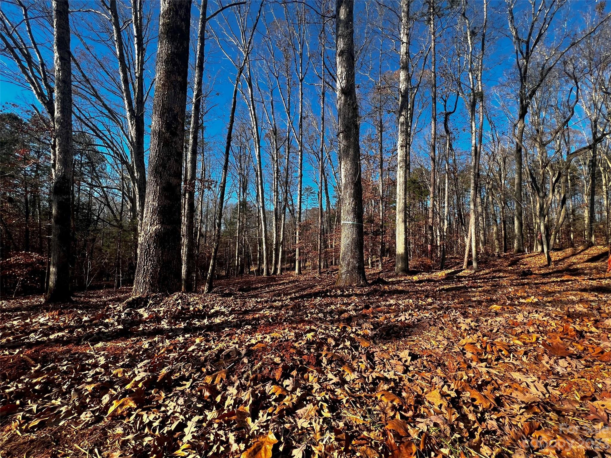 150 Copper Pne Lane, Unit 4 Davidson, NC 28036 - Photo 2 of 21 a view of a street with a building