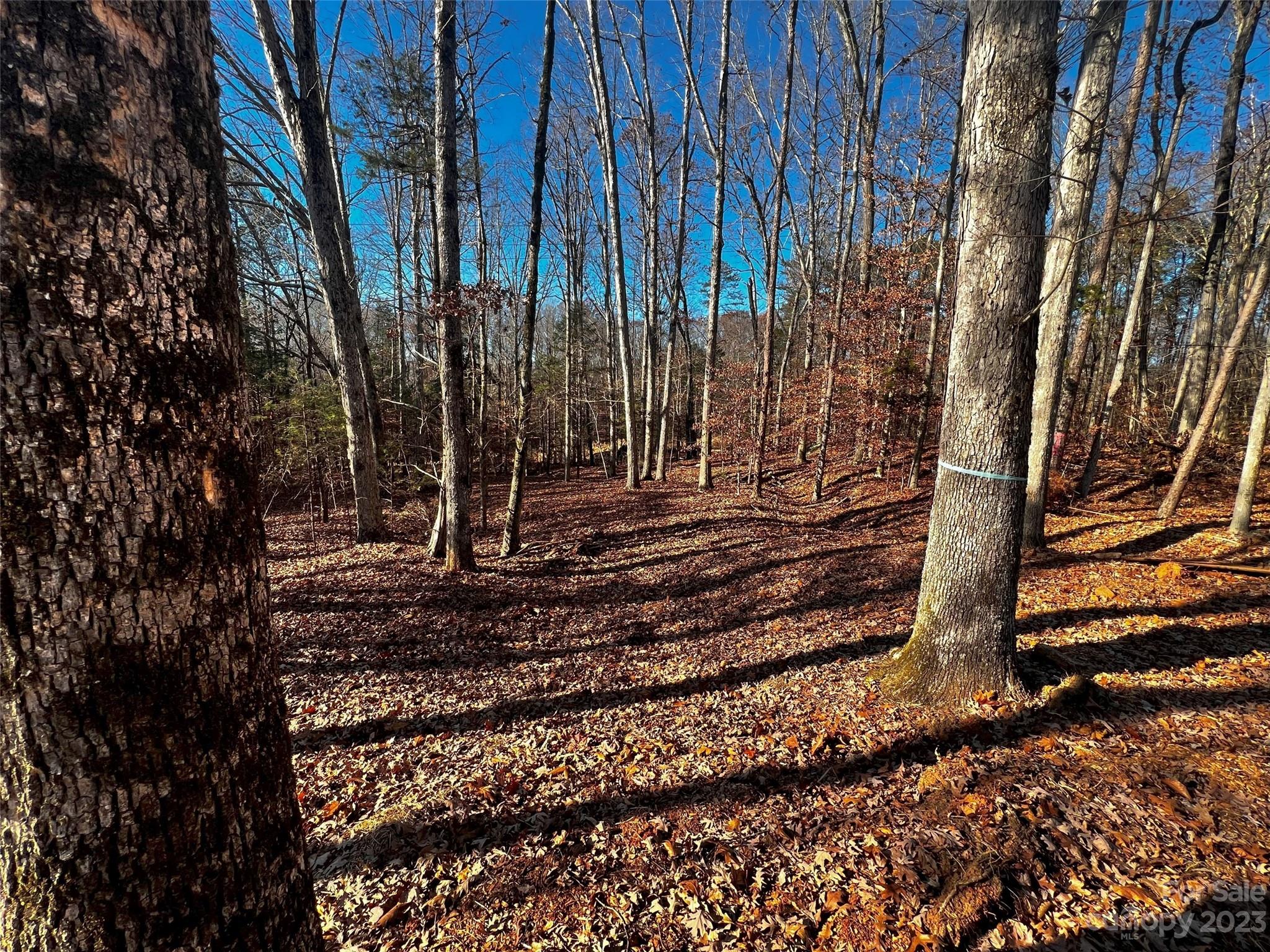 150 Copper Pne Lane, Unit 4 Davidson, NC 28036 - Photo 3 of 21 a view of a backyard with a house