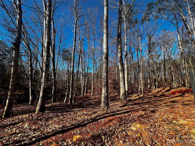 a view of a backyard of the house