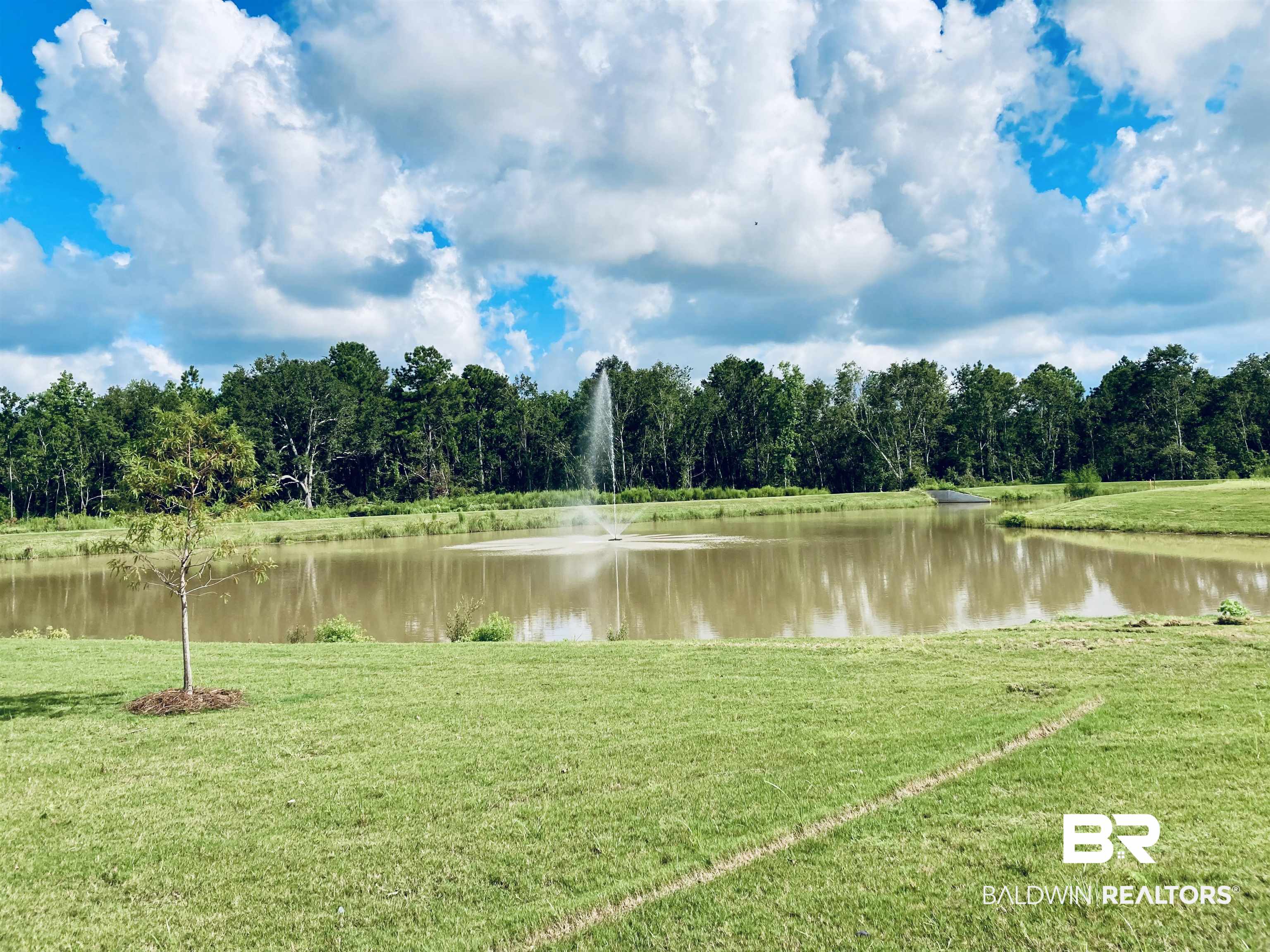 Lot 52 Travis Stock Street Foley, AL 36535 - Photo 8 of 9