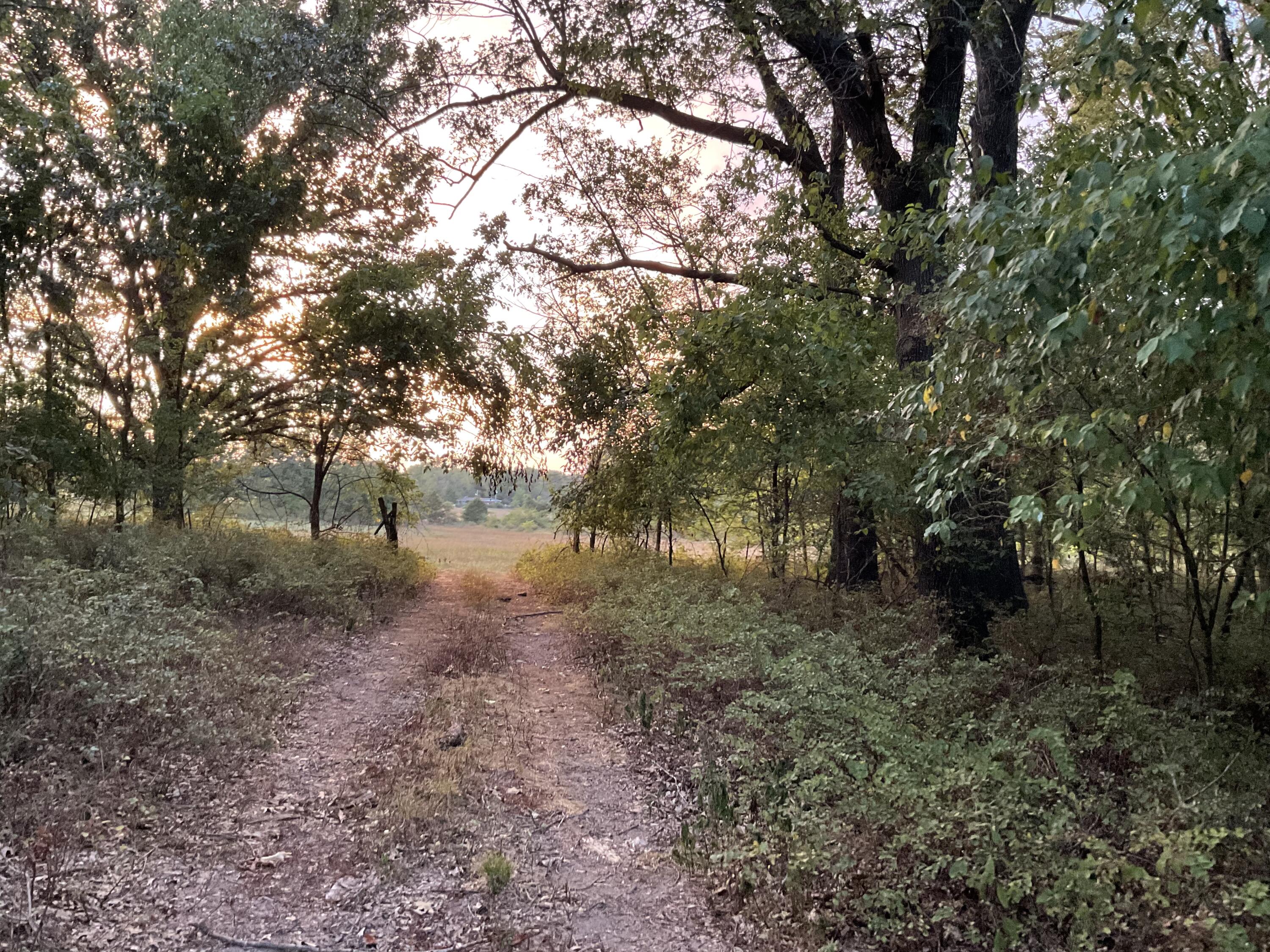 4 North Farm Road 89 Springfield, MO 65802 - Photo 1 of 1 FB2311D4-80E4-4785-9CC9-8CD6234AC9A3