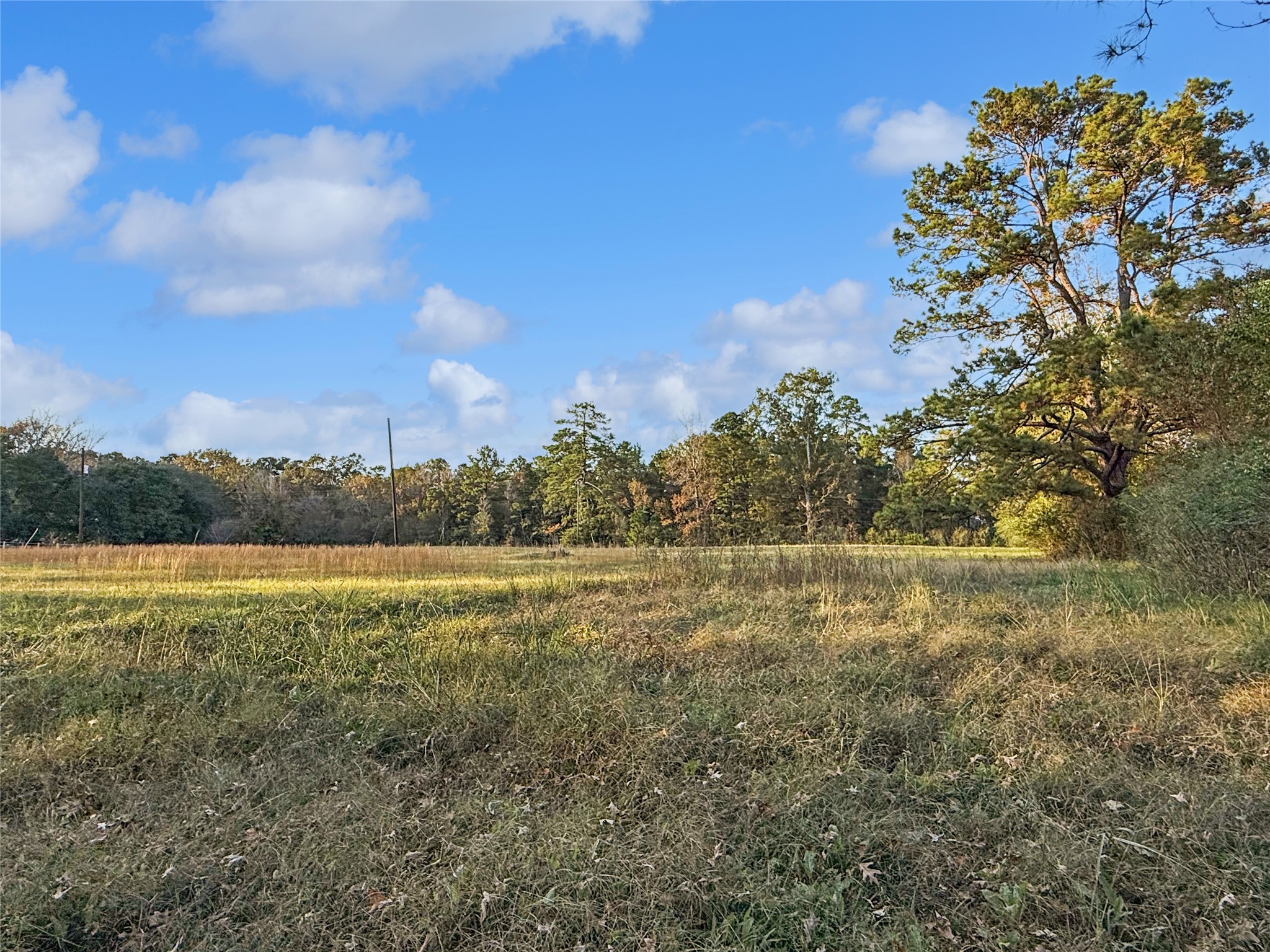 2570 County Road Woodville, TX 75979 - Photo 13 of 15