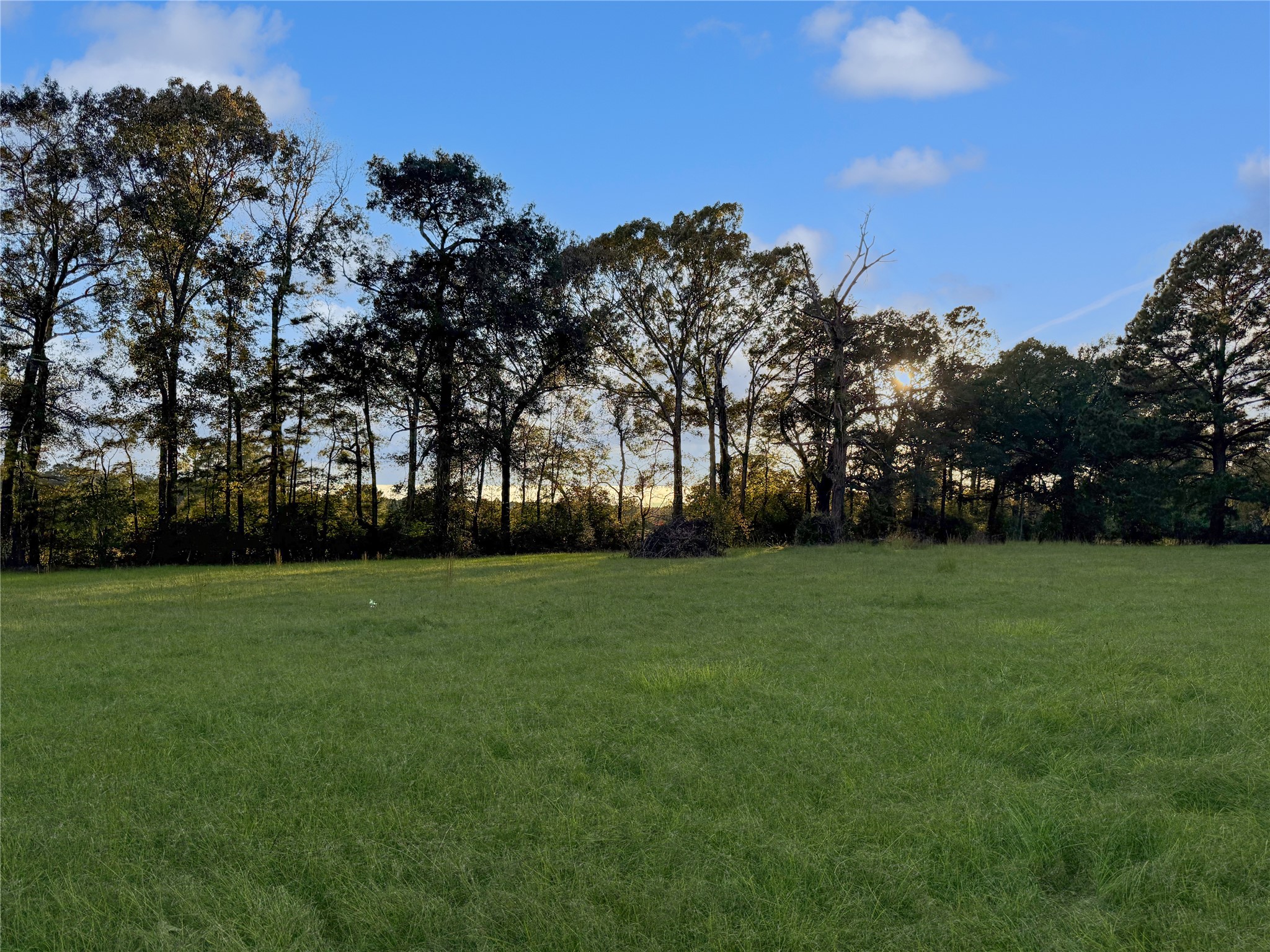 2570 County Road Woodville, TX 75979 - Photo 14 of 15