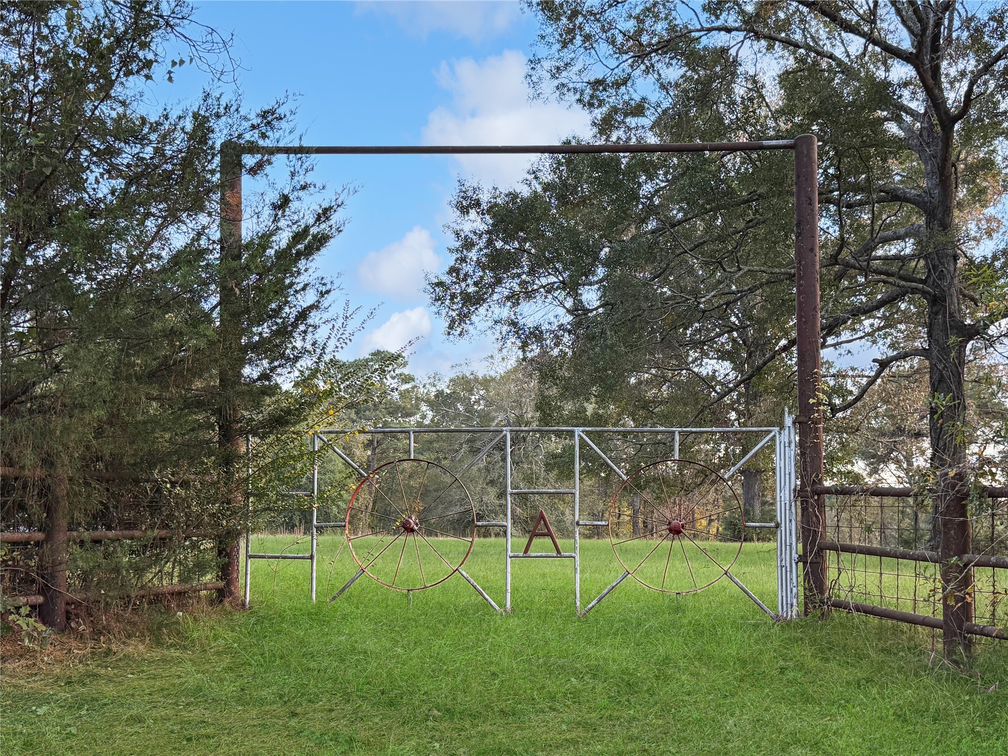 2570 County Road Woodville, TX 75979 - Photo 15 of 15