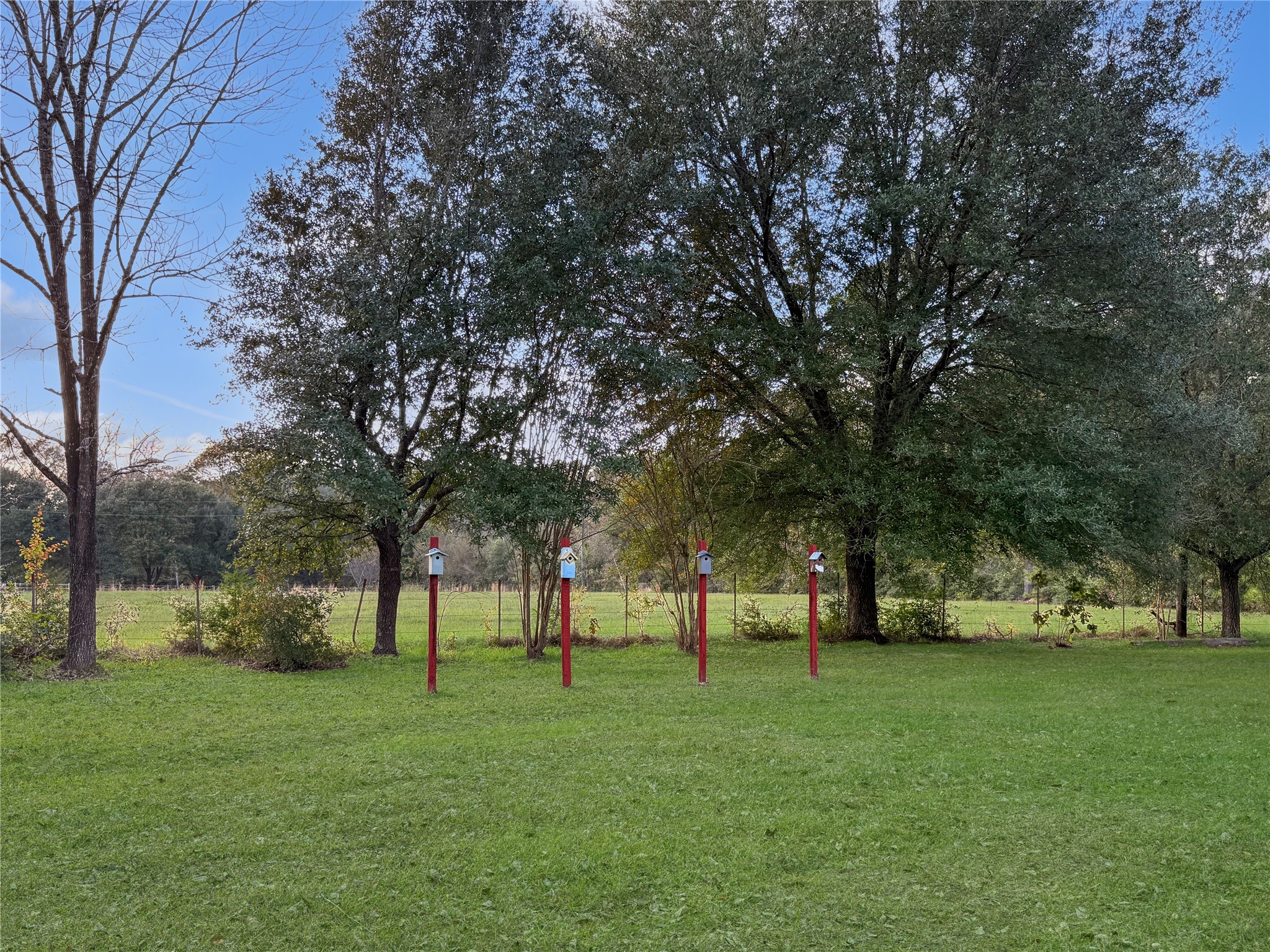 2570 County Road Woodville, TX 75979 - Photo 10 of 15