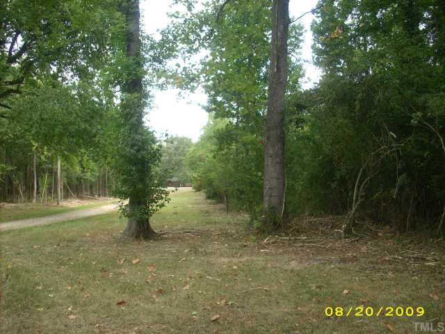 1420 Sykes Road Spring Hope, NC 27882 - Photo 2 of 11 looking down drive way toward Sykes rd
