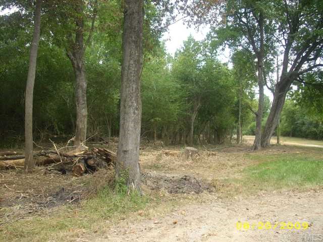 1420 Sykes Road Spring Hope, NC 27882 - Photo 3 of 11 other side of driveway toward rd
