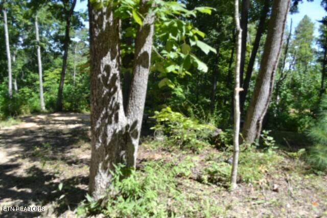 9.85-ac Rock Springs Road Celina, TN 38551 - Photo 27 of 48 DSC_0070