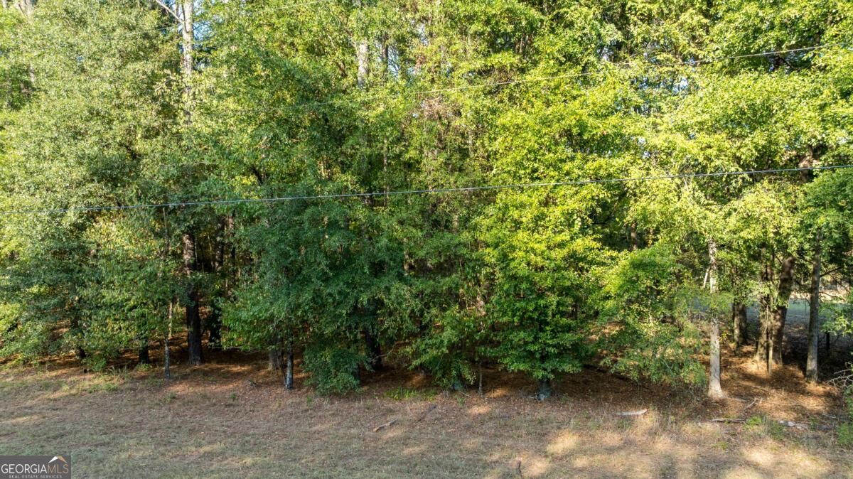 3171 Salem Road Watkinsville, GA 30677 - Photo 3 of 6 Gallery Image 3
