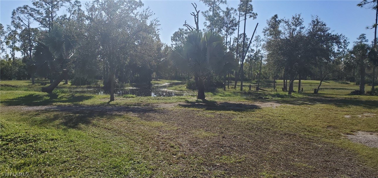 20500 Corkscrew Road Estero, FL 33928 - Photo 7 of 12 a view of outdoor space with trees