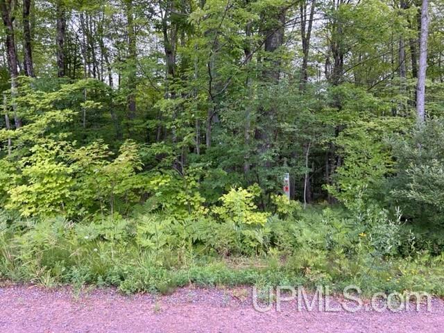 Tbd Lehtola Road Chassell, MI 49916 - Photo 31 of 59 Gallery Image 31