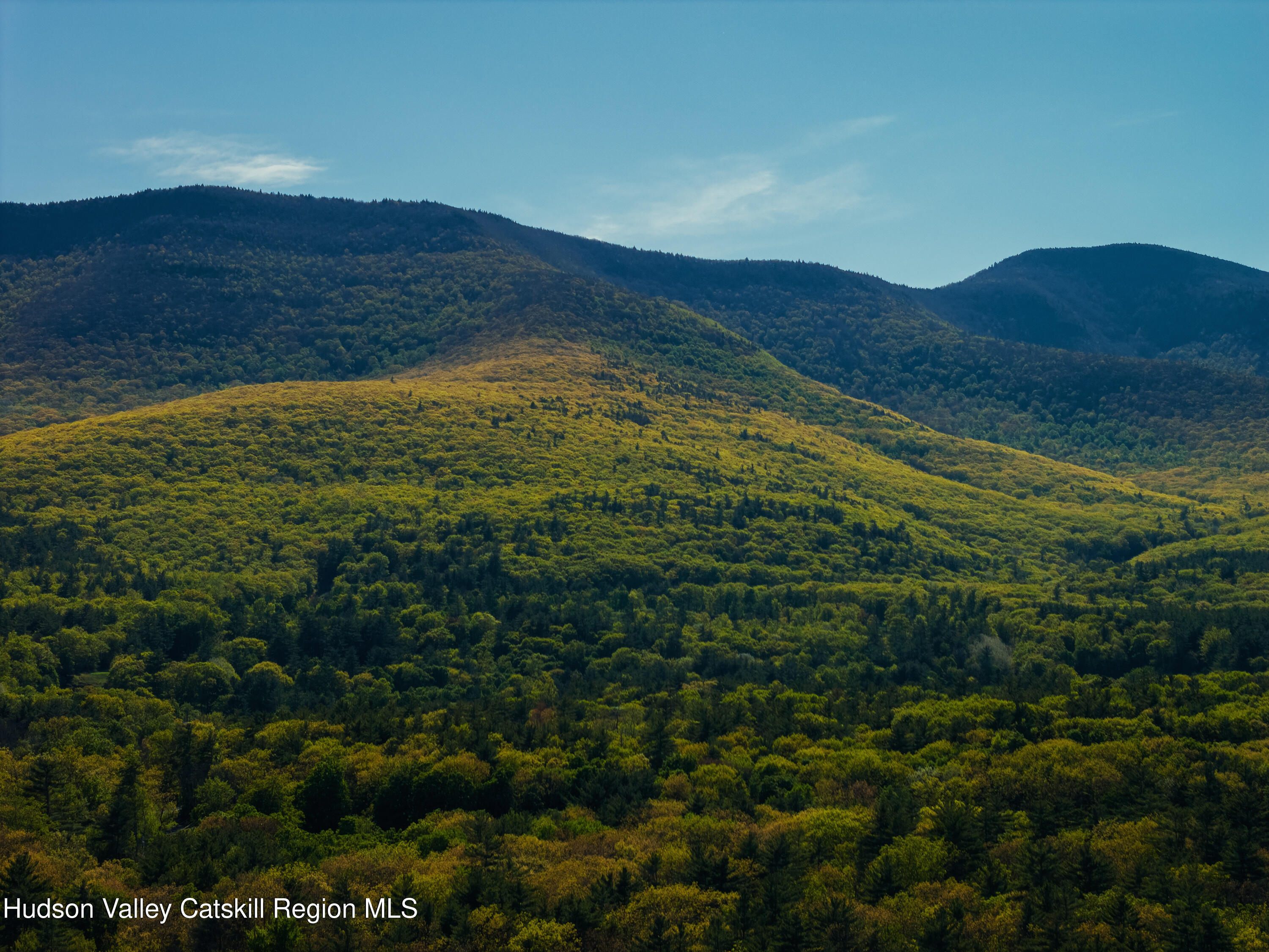 261 Blackhead Mountain Road Round Top, NY 12473 - Photo 39 of 40 DJI_20260516163920_0037_D