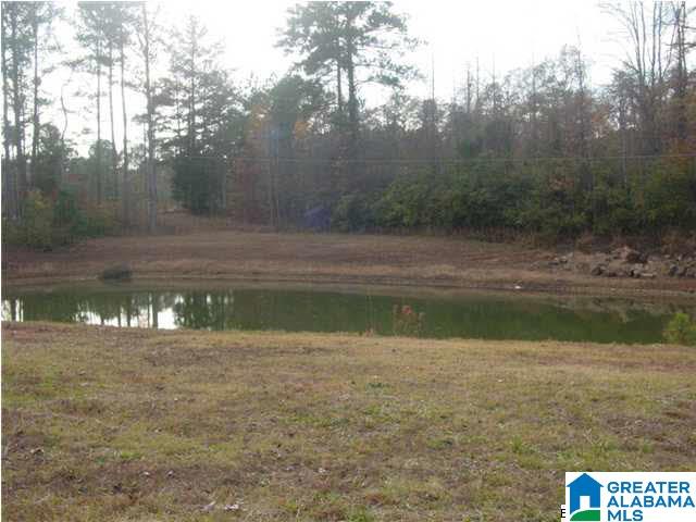 605 Reneau Street Anniston, AL 36207 - Photo 29 of 31