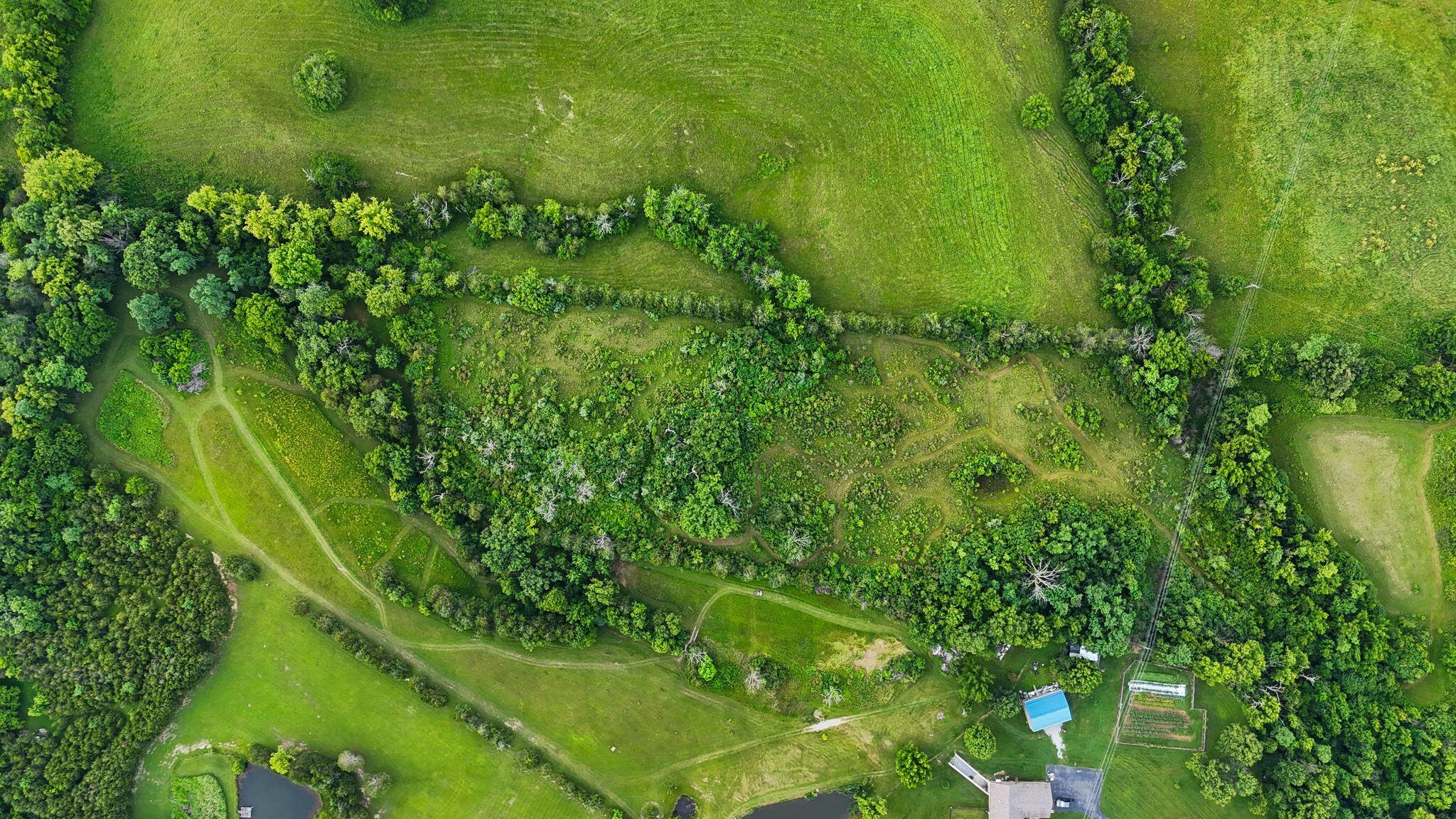 1640 Red House Road Richmond, KY 40475 - Photo 70 of 72 37_DJI_20250628195742_0250_D