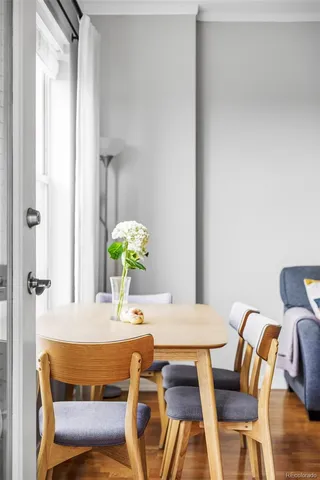 a balcony with furniture and a potted plant