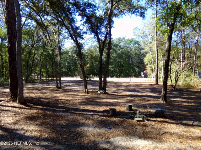 a view of park space with trees