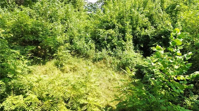 $3,500 | 149 North Ditzler Avenue, Independence, MO 64053