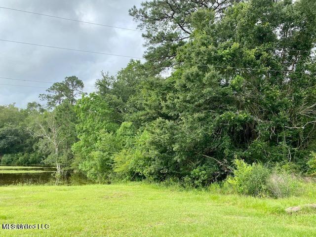 Max Bryant Road Moss Point, MS 39562 - Photo 2 of 3 Max Bryant