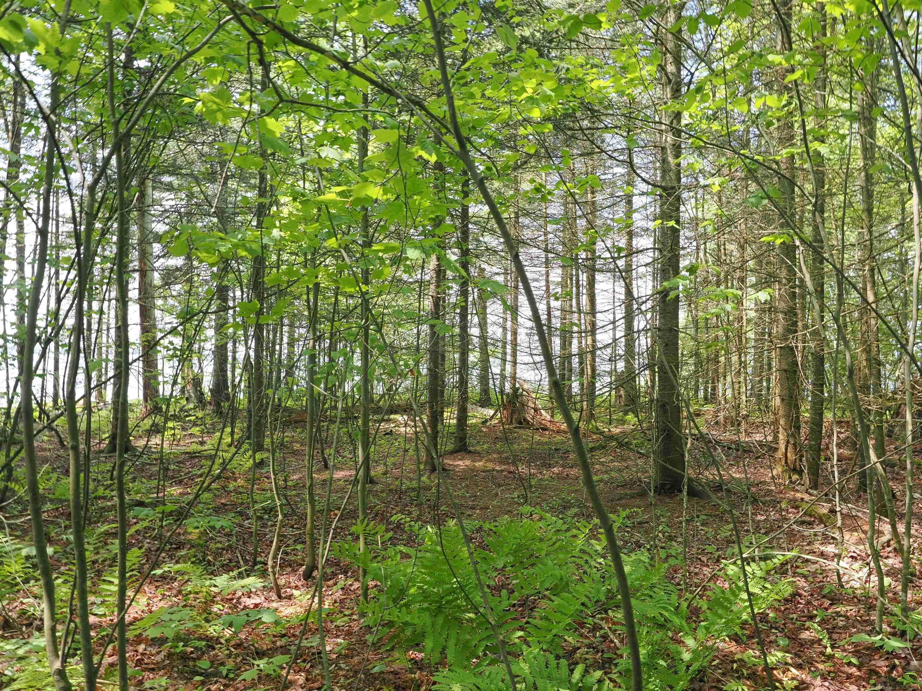 5 West 5 Mile Road Sault Ste. Marie, MI 49783 - Photo 21 of 30