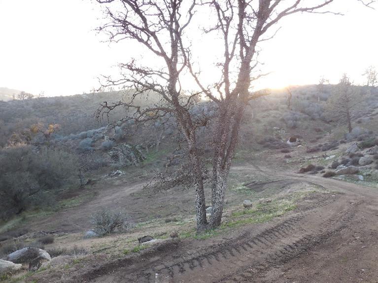 30700 Comanche Point Road Tehachapi, CA 93561 - Photo 35 of 53 Gallery Image 35