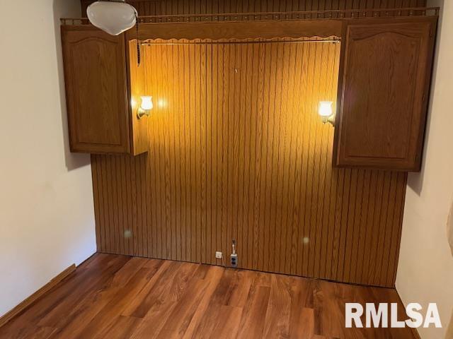84 South New Thompson Lake Road Carbondale, IL 62901 - Photo 14 of 30