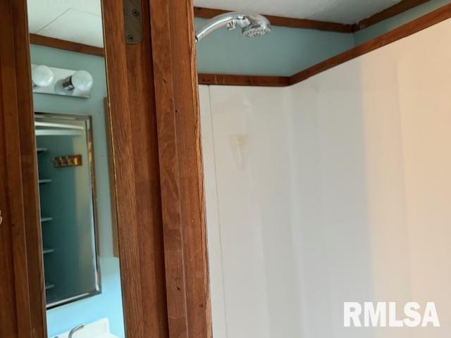 84 South New Thompson Lake Road Carbondale, IL 62901 - Photo 25 of 30