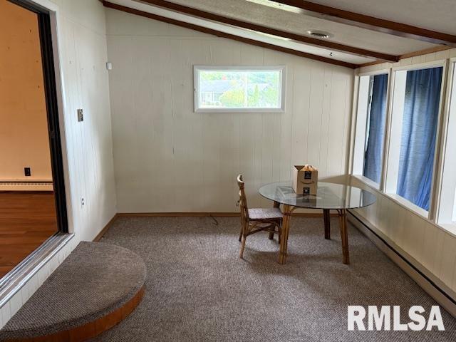 84 South New Thompson Lake Road Carbondale, IL 62901 - Photo 27 of 30