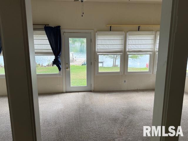 84 South New Thompson Lake Road Carbondale, IL 62901 - Photo 28 of 30