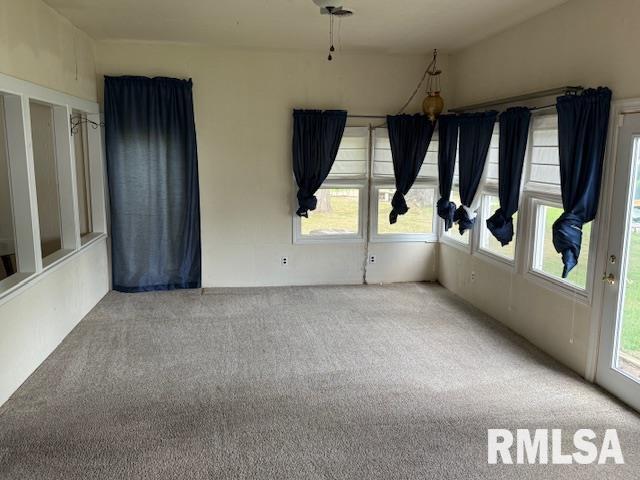 84 South New Thompson Lake Road Carbondale, IL 62901 - Photo 29 of 30