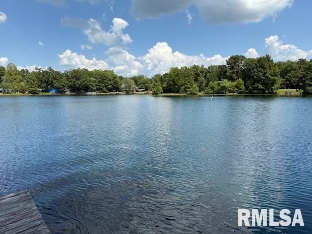 84 South New Thompson Lake Road Carbondale, IL 62901 - Photo 3 of 30