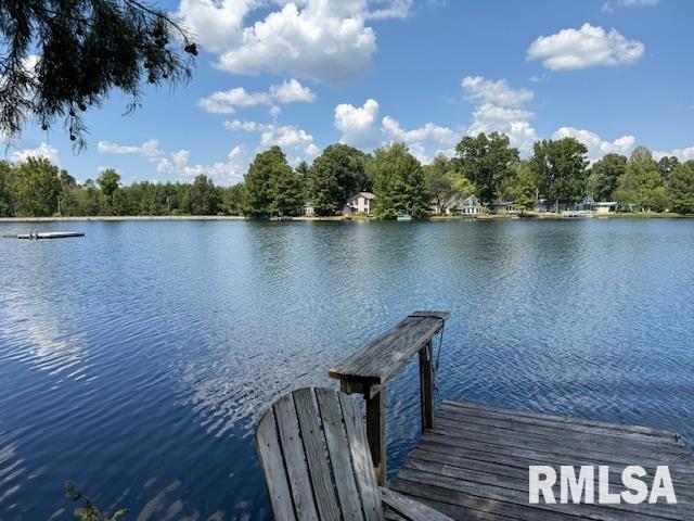 84 South New Thompson Lake Road Carbondale, IL 62901 - Photo 4 of 30