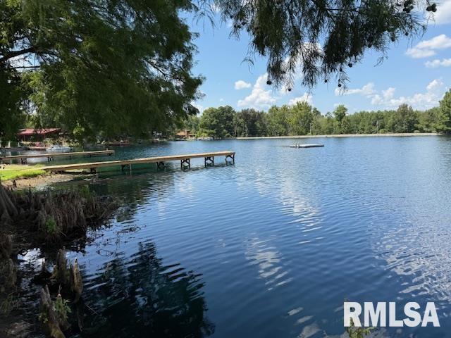 84 South New Thompson Lake Road Carbondale, IL 62901 - Photo 5 of 30