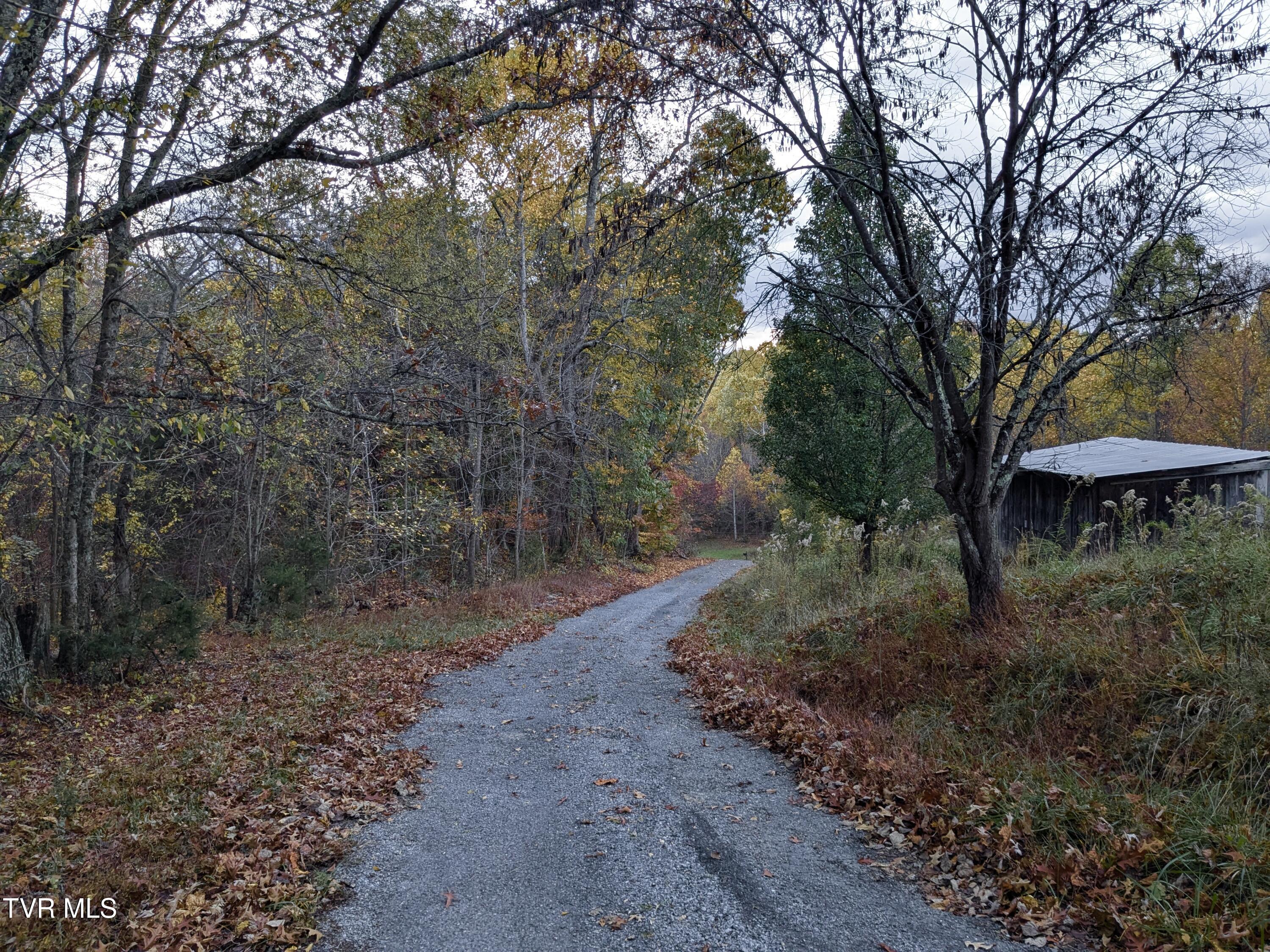 448 Cherry Grove Road Jonesborough, TN 37659 - Photo 103 of 105 PXL_20241030_222215134