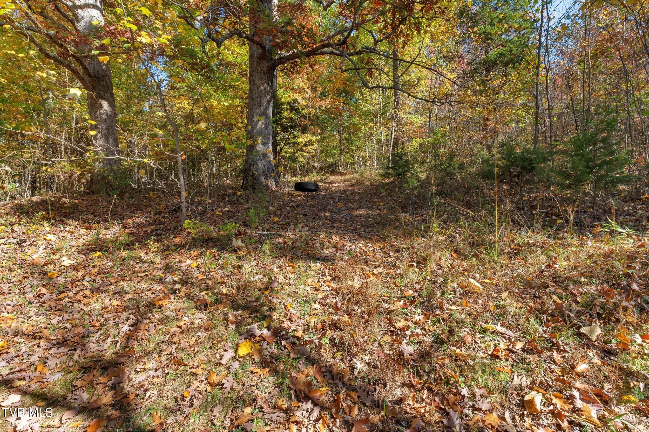448 Cherry Grove Road Jonesborough, TN 37659 - Photo 57 of 105 20_arw03894