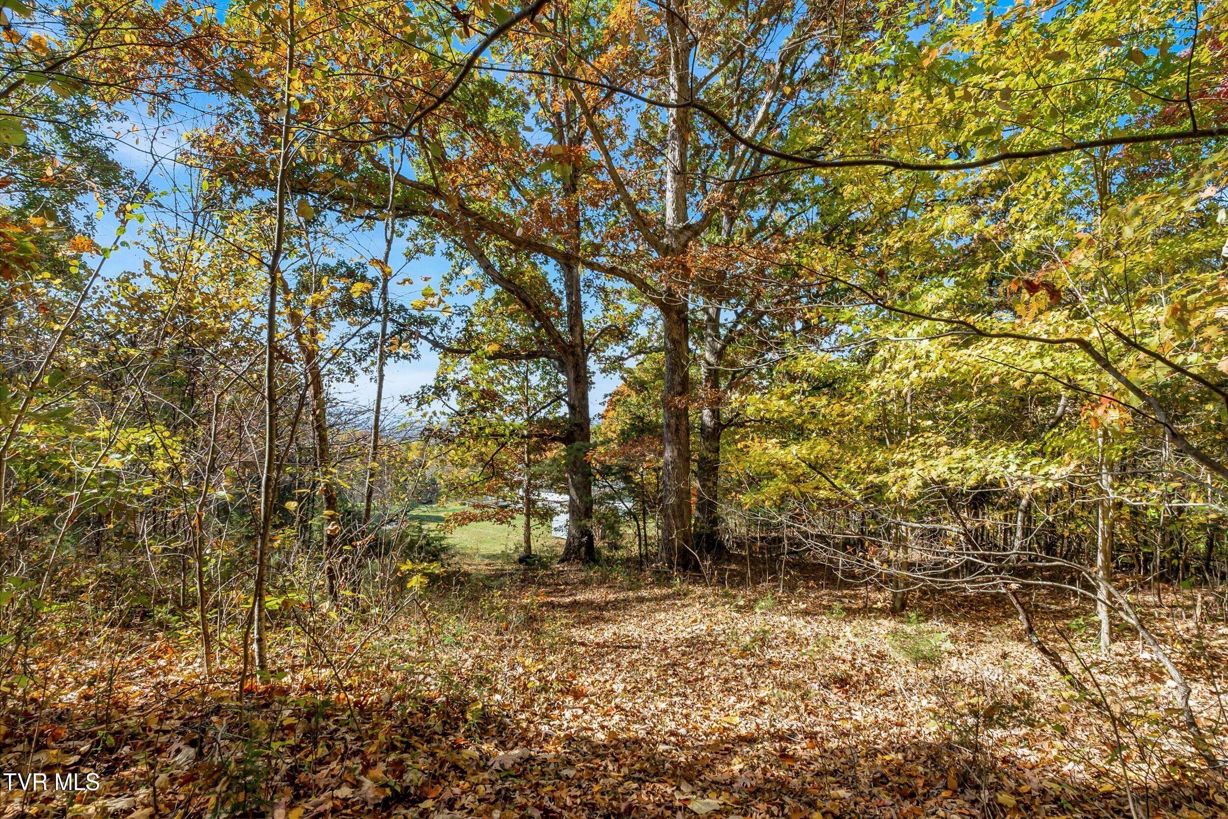 448 Cherry Grove Road Jonesborough, TN 37659 - Photo 58 of 105 21_arw03897
