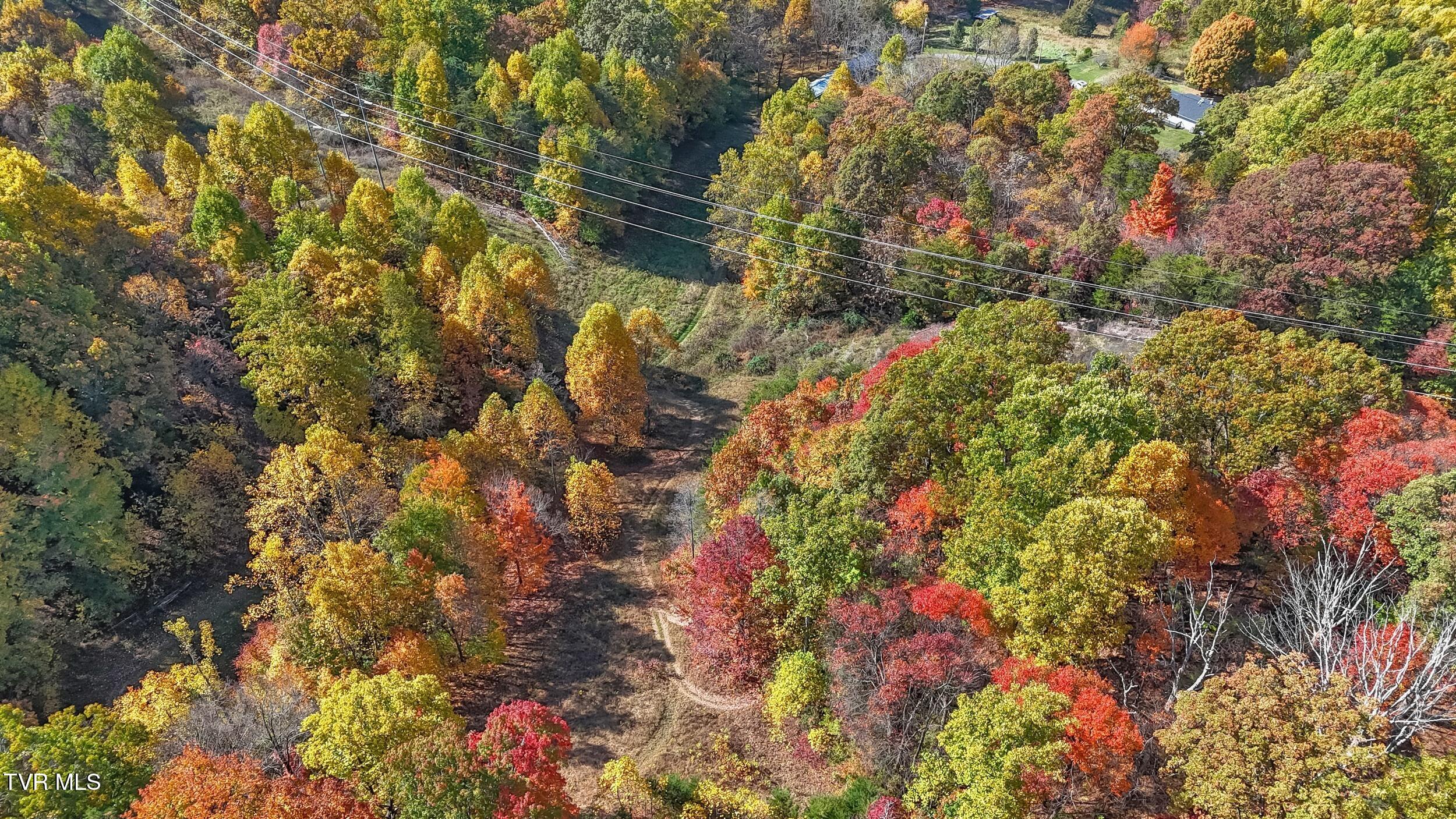 448 Cherry Grove Road Jonesborough, TN 37659 - Photo 95 of 105 39_dji_20241028124030_0079_d