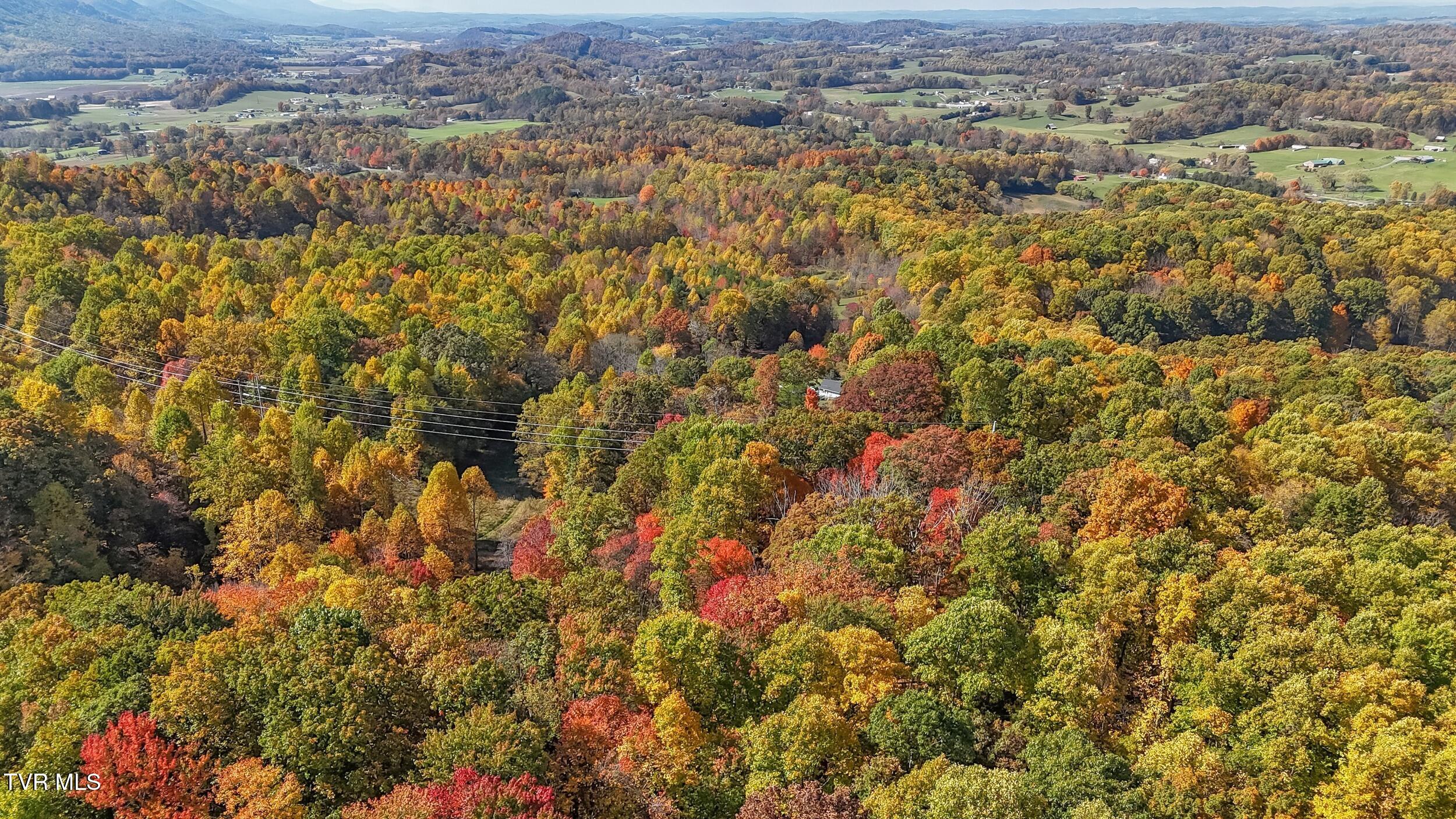 448 Cherry Grove Road Jonesborough, TN 37659 - Photo 100 of 105 38_dji_20241028123930_0078_d
