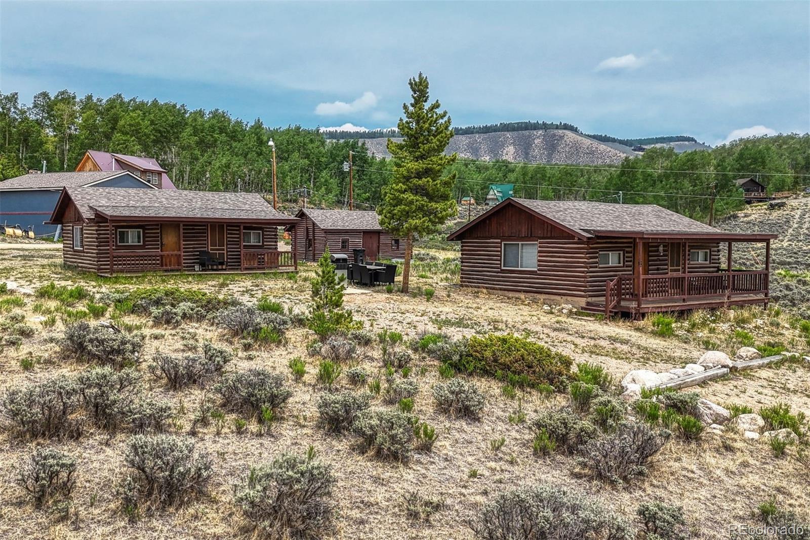 143 Elk Road Leadville, CO 80461 - Photo 44 of 46