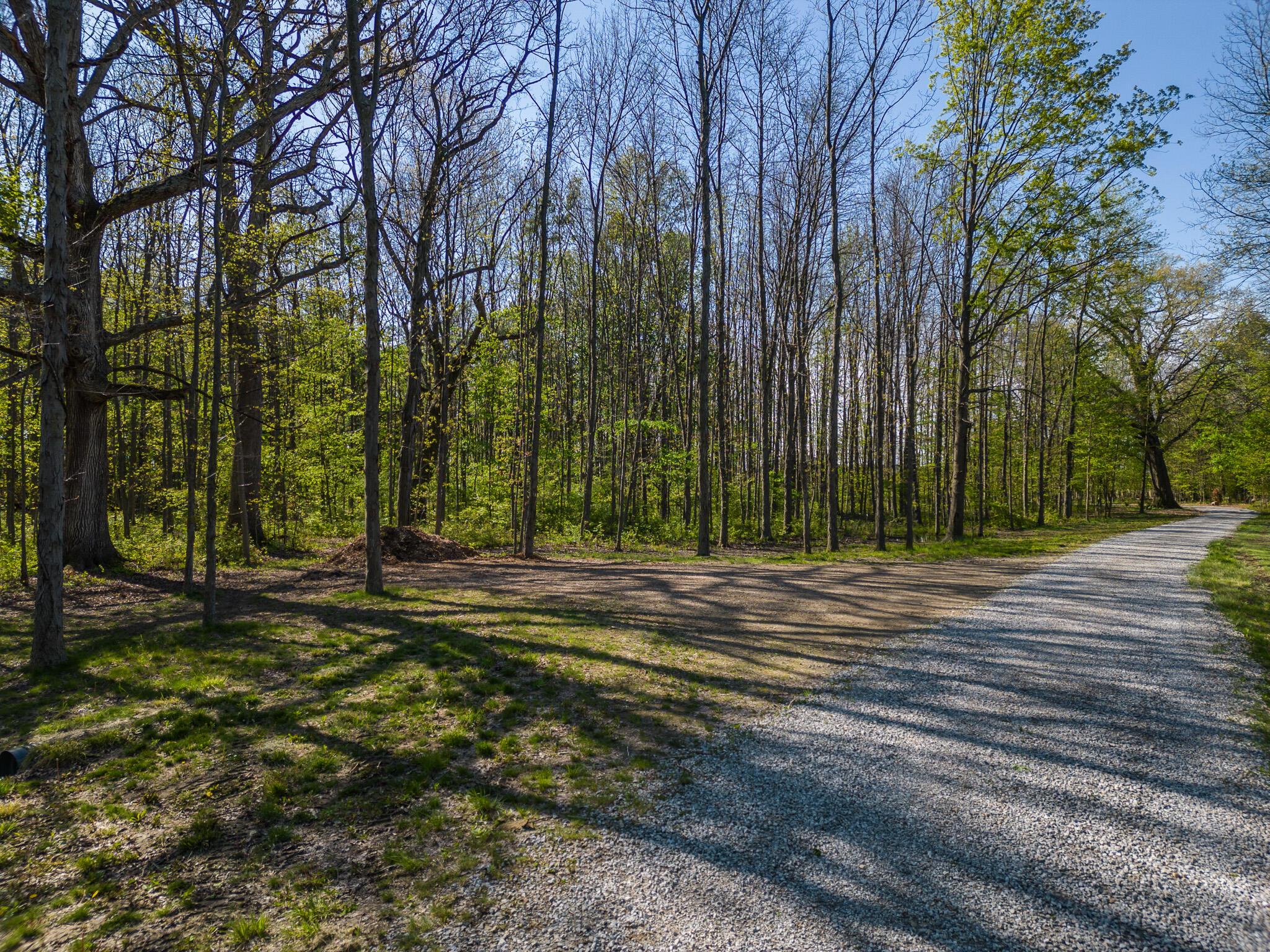 5387 Dildine Road Delaware, OH 43015 - Photo 13 of 37 11