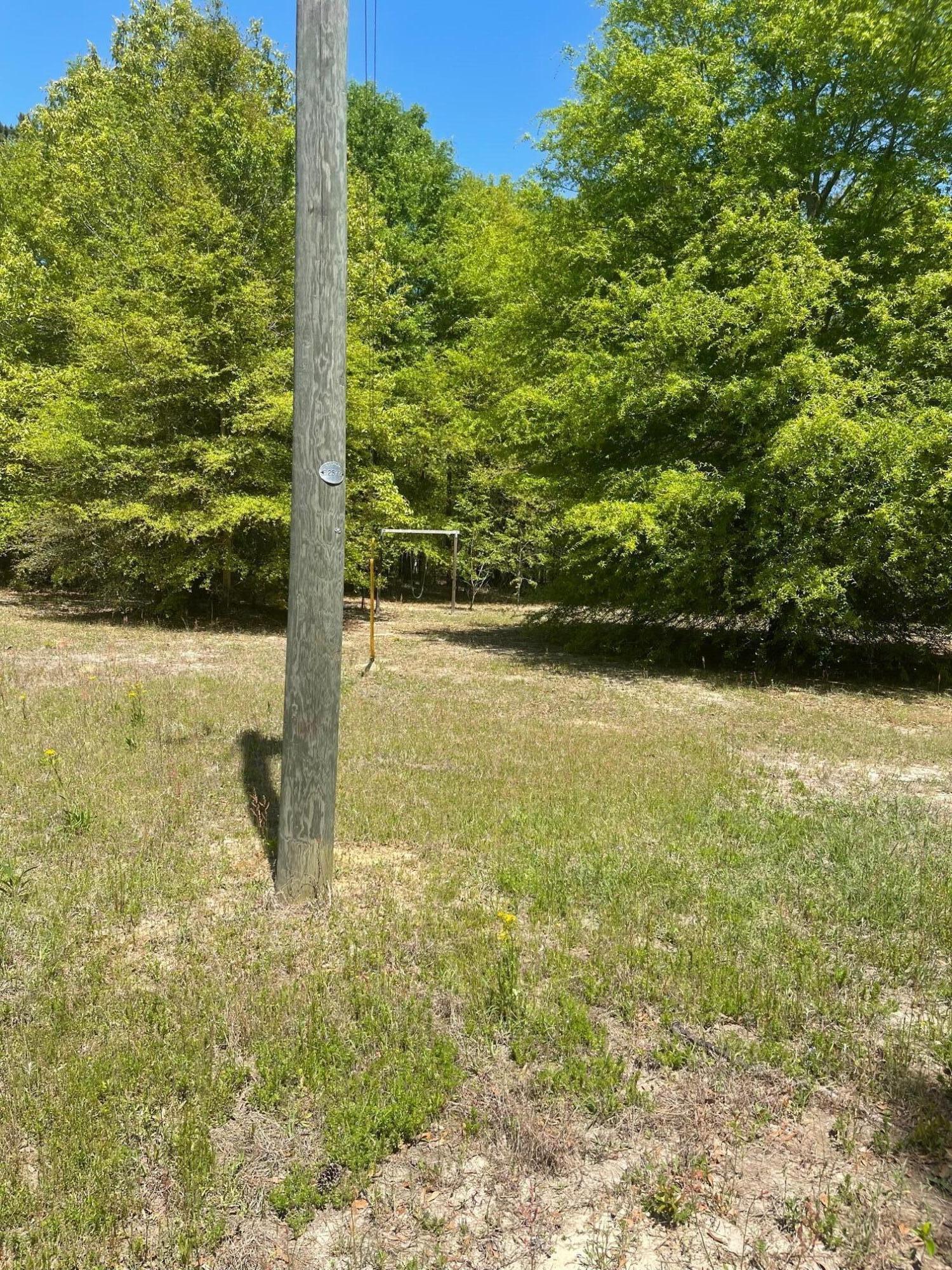 168 Weathersby Road Salley, SC 29137 - Photo 13 of 15