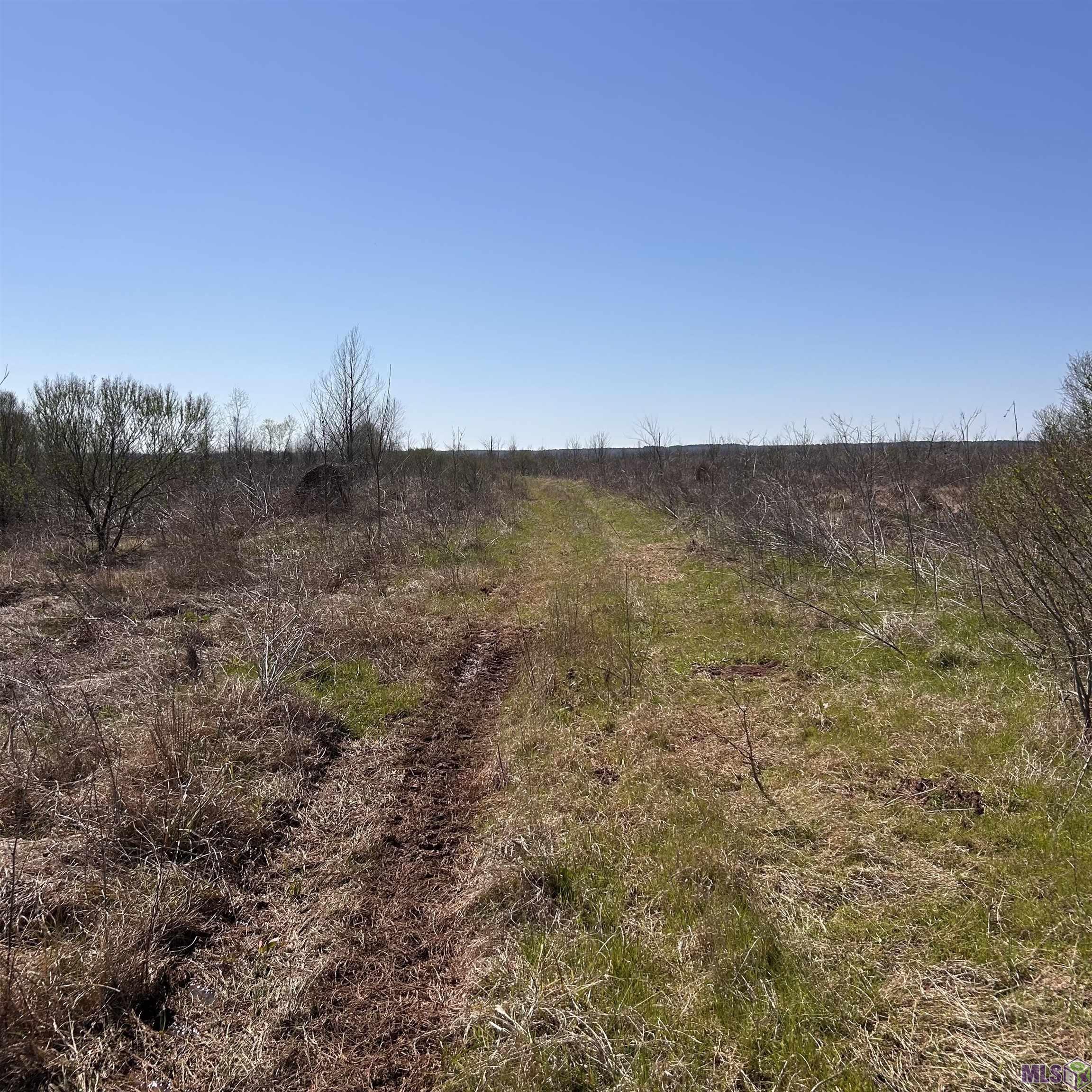 0 Abbington Loop Mansfield, LA 71052 - Photo 3 of 10