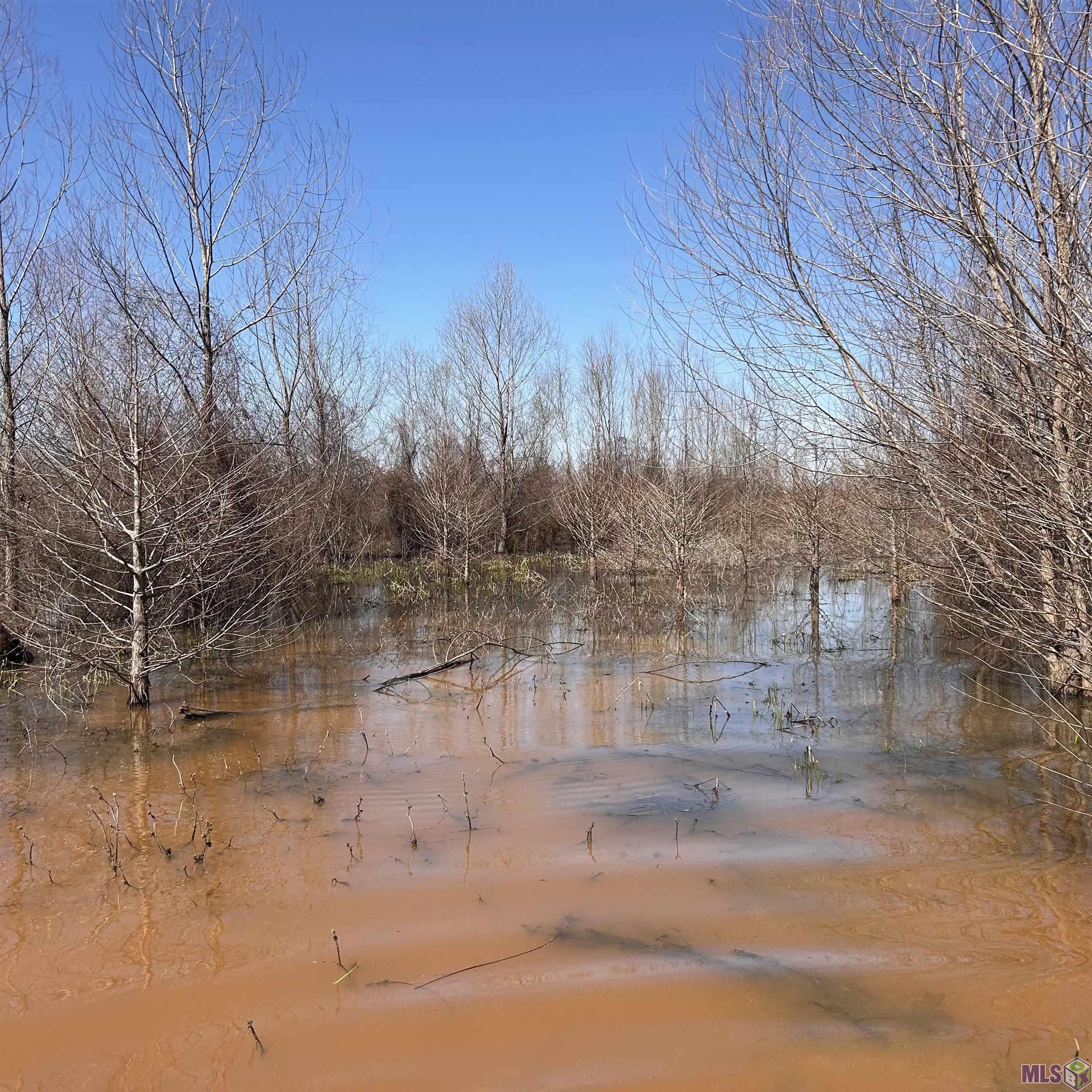 0 Abbington Loop Mansfield, LA 71052 - Photo 4 of 10