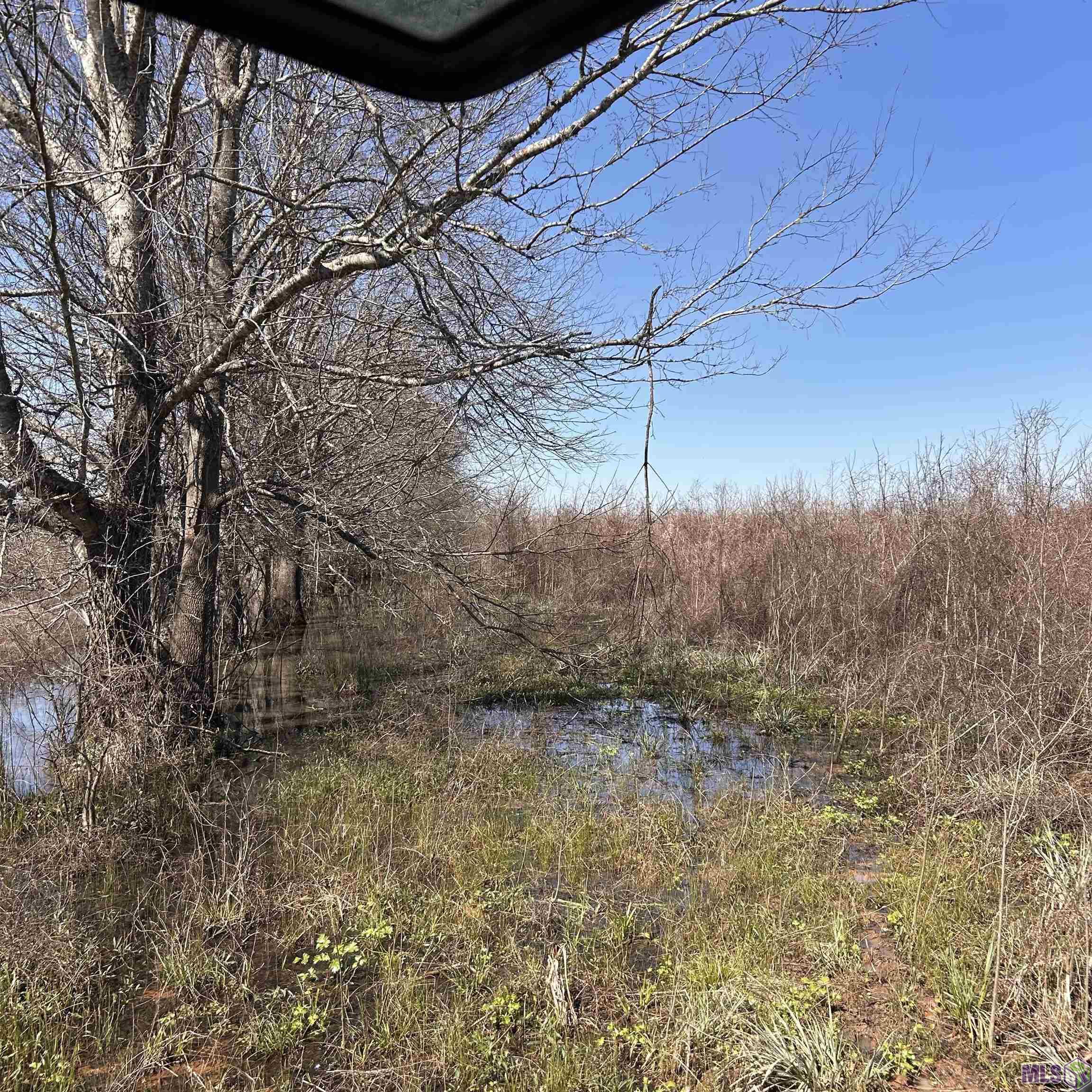 0 Abbington Loop Mansfield, LA 71052 - Photo 5 of 10