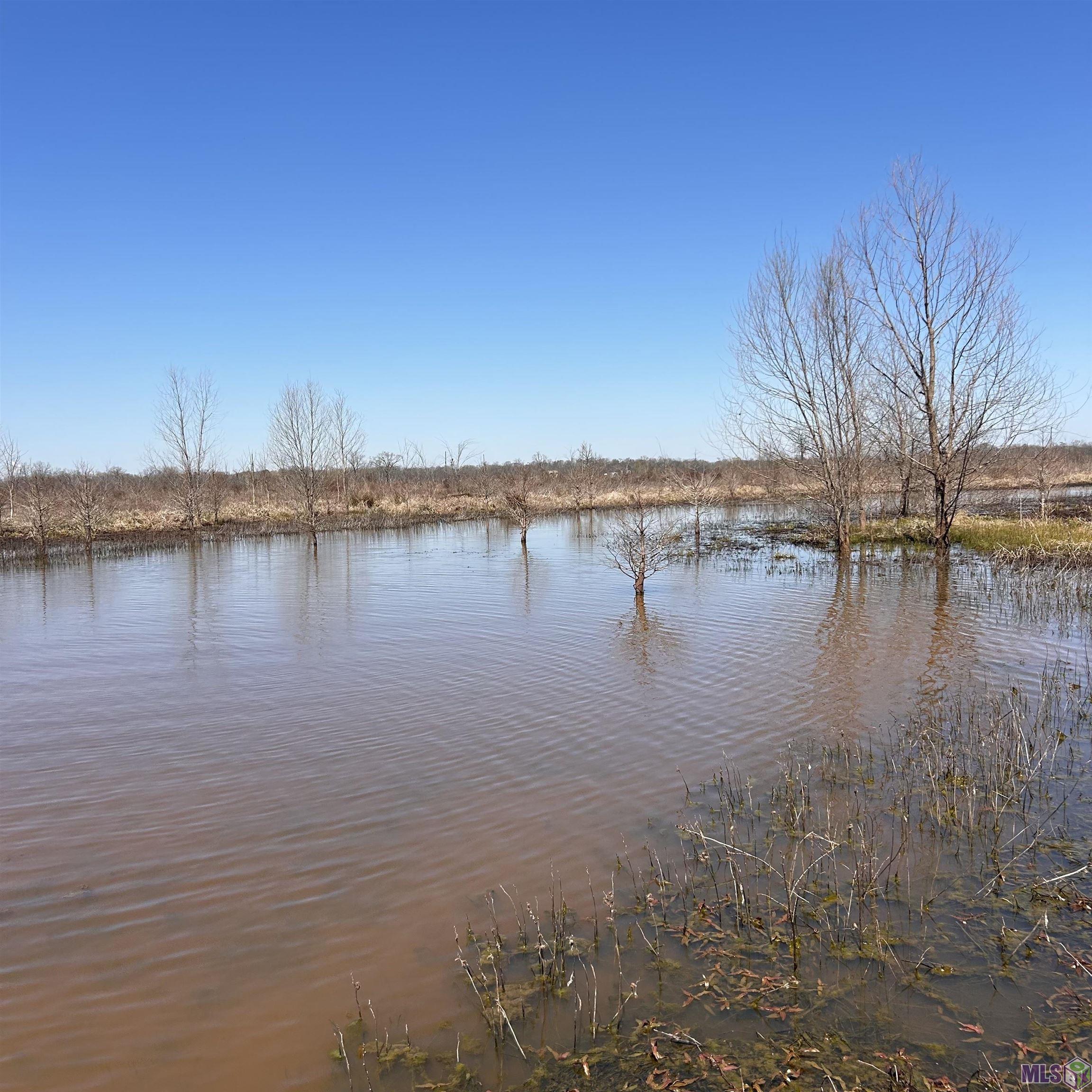 0 Abbington Loop Mansfield, LA 71052 - Photo 6 of 10