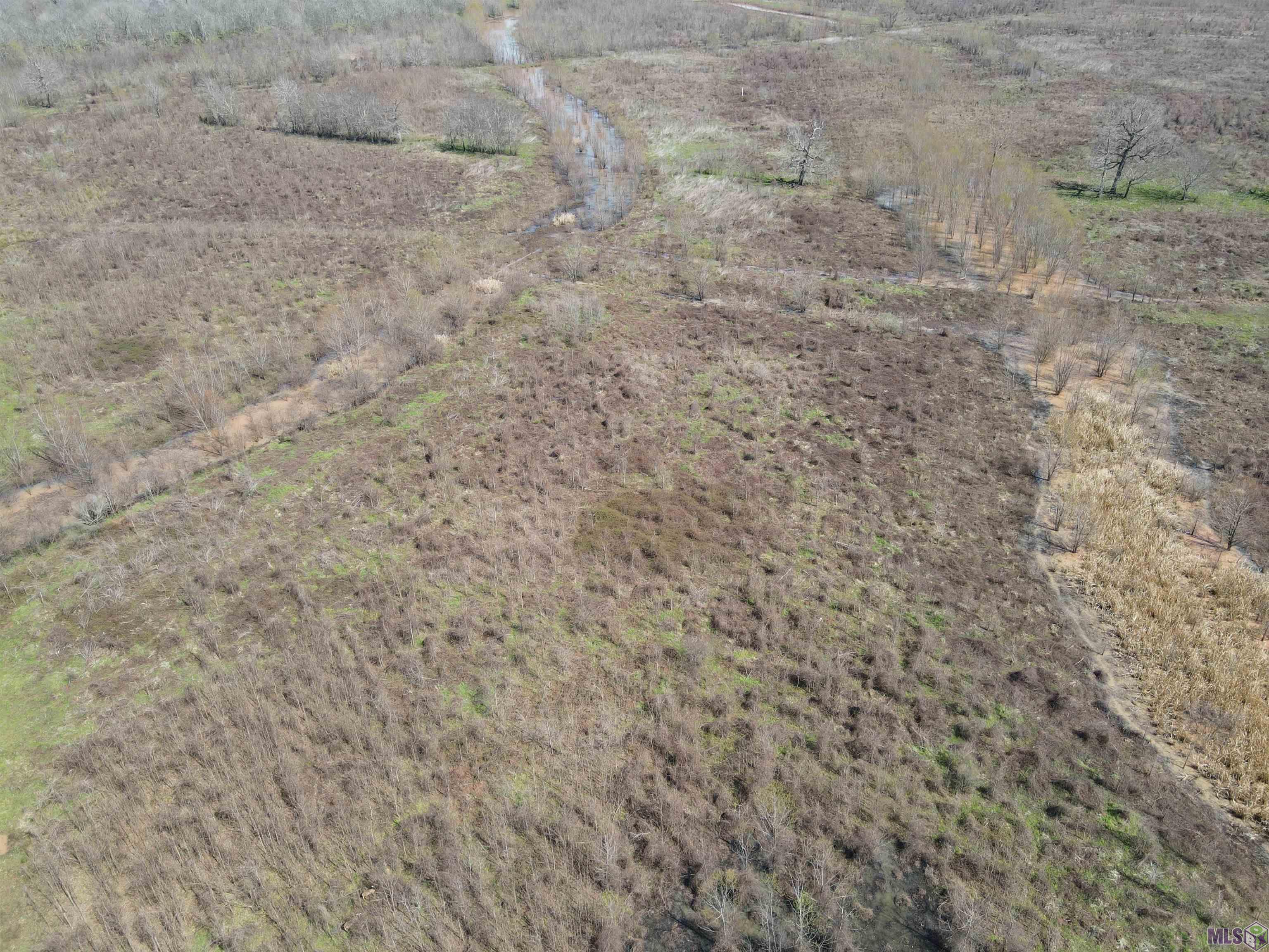 0 Abbington Loop Mansfield, LA 71052 - Photo 7 of 10