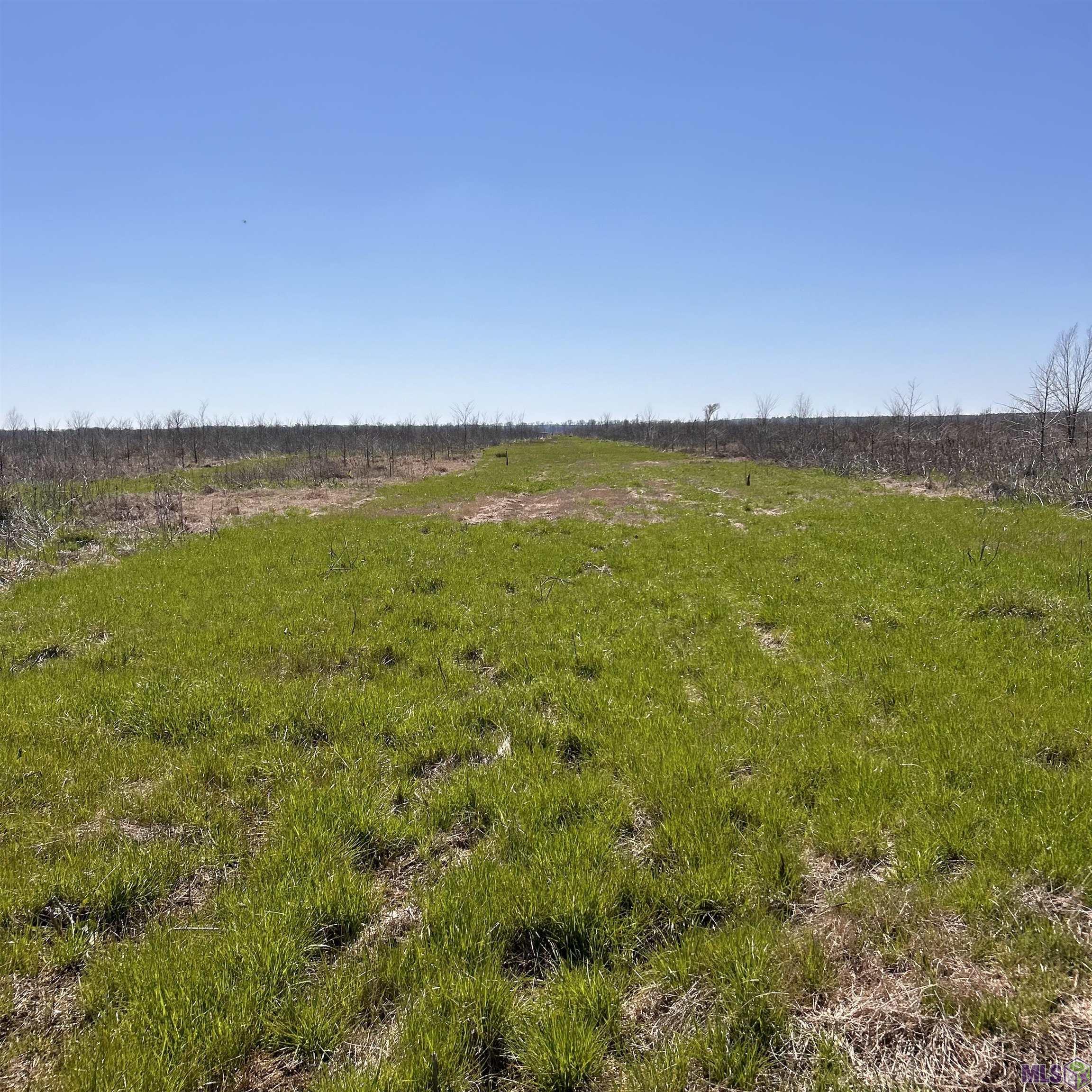 0 Abbington Loop Mansfield, LA 71052 - Photo 8 of 10