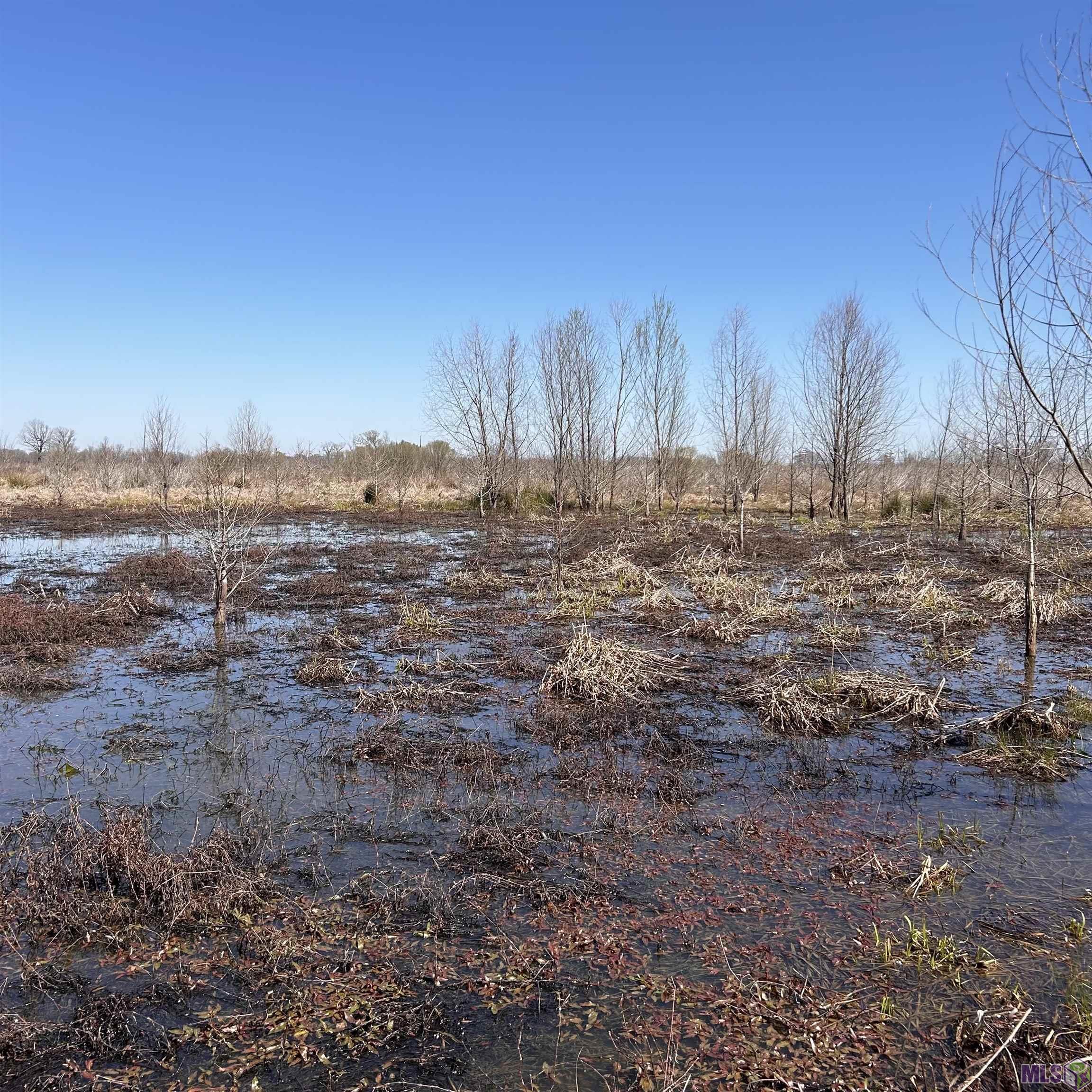 0 Abbington Loop Mansfield, LA 71052 - Photo 9 of 10