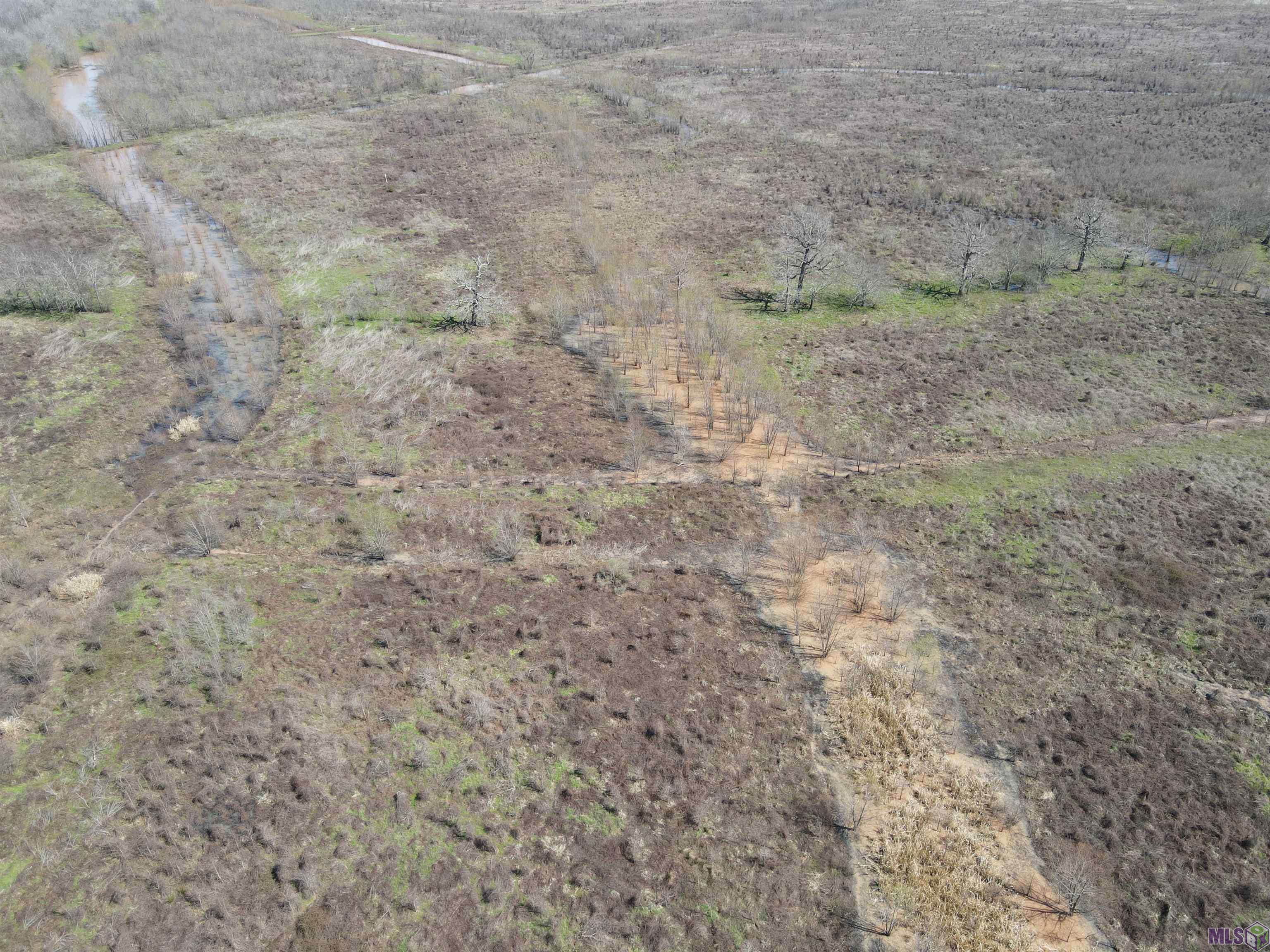 0 Abbington Loop Mansfield, LA 71052 - Photo 10 of 10