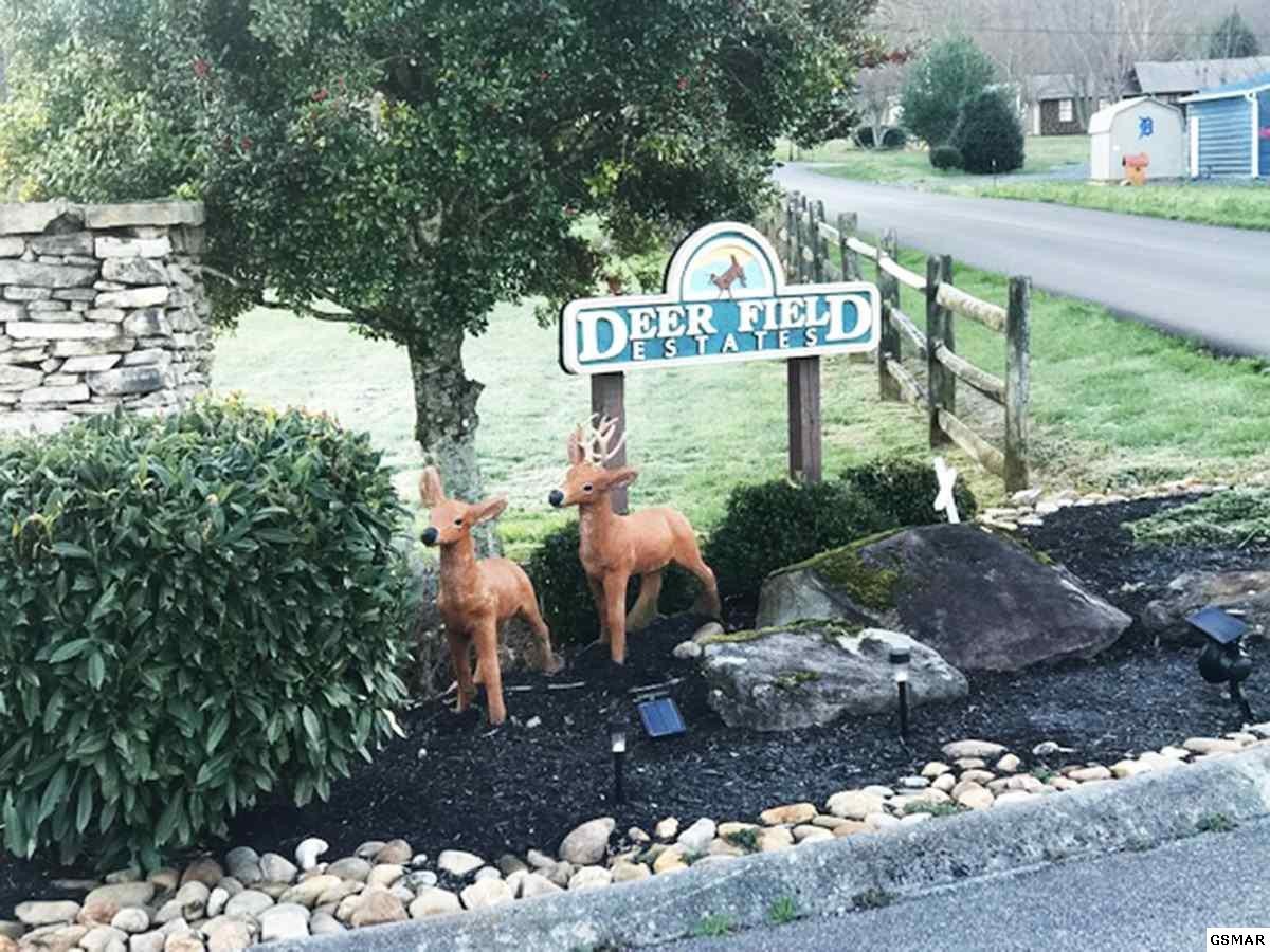 9 Deer Field Circle Sevierville, TN 37862 - Photo 3 of 3